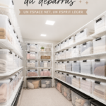 Salle de rangement modernisée et bien organisée avec des étagères et des boîtes
