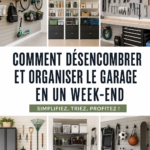Garage bien organisé avec des étagères et des outils rangés.