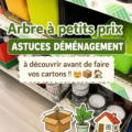 Une femme organisant ses affaires pour un déménagement réussi avec des cartons bien étiquetés.