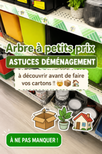 Une femme organisant ses affaires pour un déménagement réussi avec des cartons bien étiquetés.