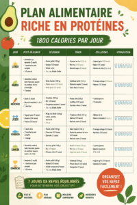 Plan de repas riche en protéines avec des recettes équilibrées