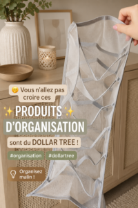 produits d'organisation trouvés chez Dollar Tree