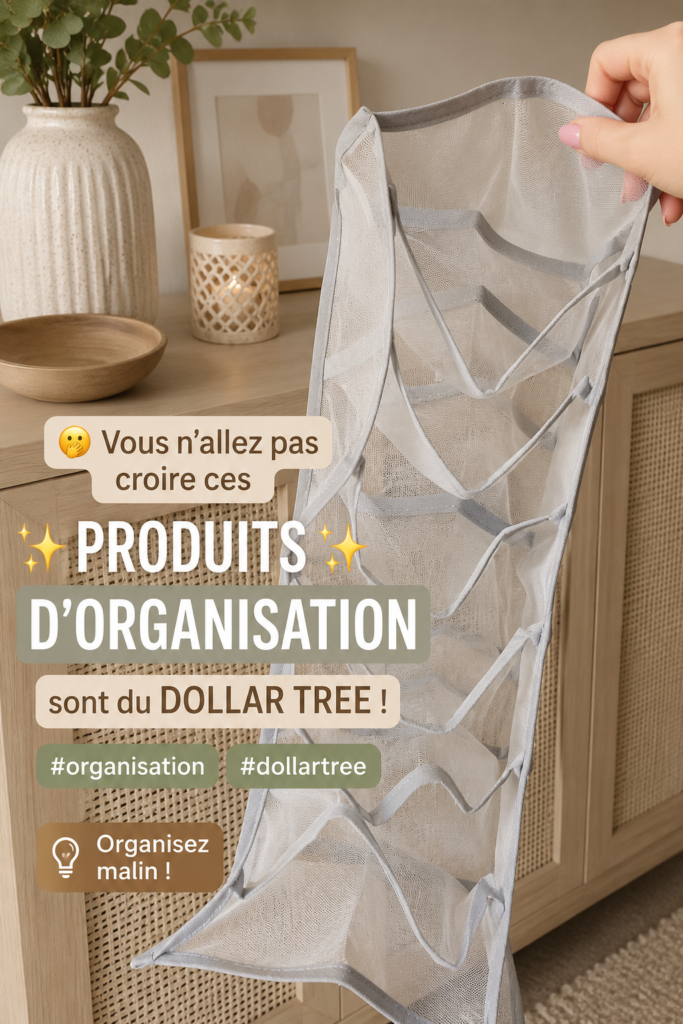 produits d'organisation trouvés chez Dollar Tree