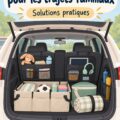 Une voiture bien rangée avec des organisateurs fonctionnels pour la famille.